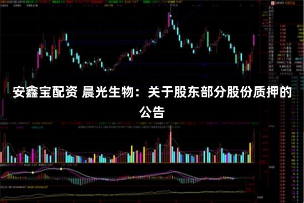 安鑫宝配资 晨光生物：关于股东部分股份质押的公告